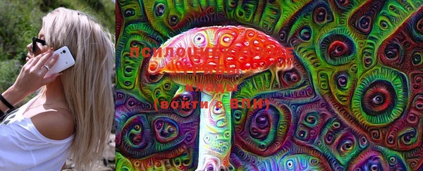 прущий лед Вязники
