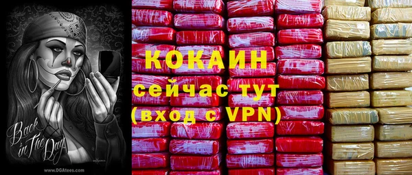 прущий лед Вязники