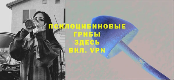 прущий лед Вязники